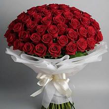 101 Красная роза Блэк Мэджик в Инзе Букет 101 Красная роза Блэк Мэджик в Инзе