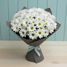 Букет цветов из:  Хризантемы в Инзе