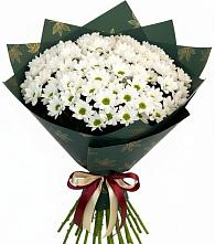 Букет цветов из:  Хризантемы #REPLACE_PRED# Инзе